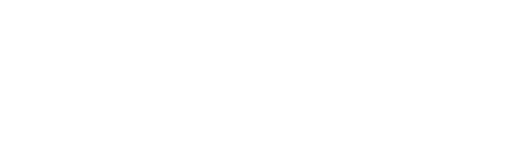 AutoVettura Services