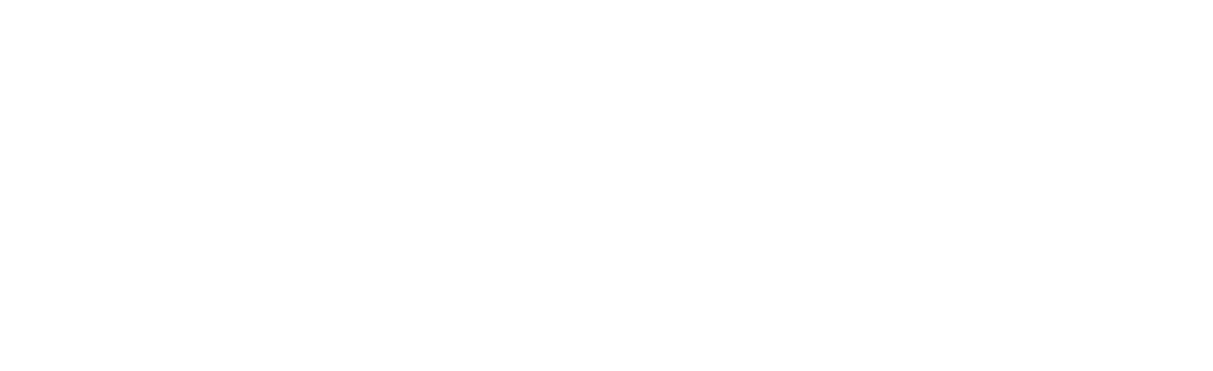 DERMAGA SARI HOLDINGS