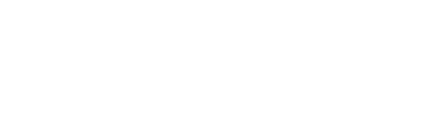 MyDIGITAL Corporation